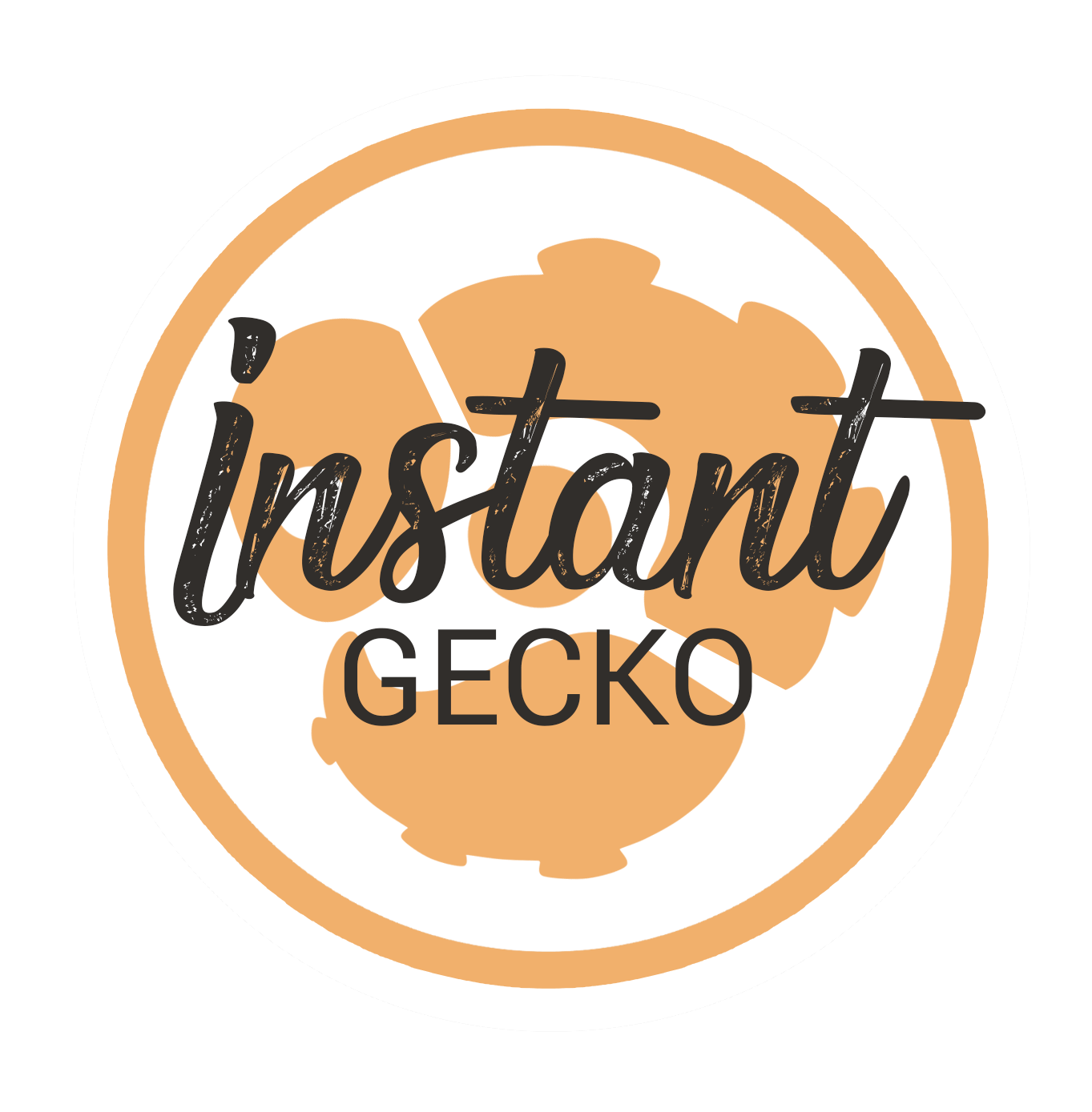 logo-instant-gecko